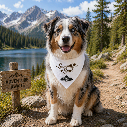 S+S Clip-On Pet Bandana